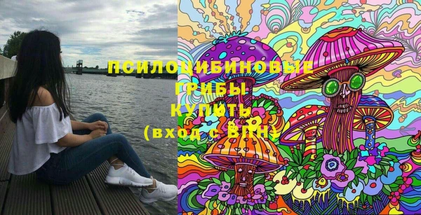 PSILOCYBIN Арсеньев