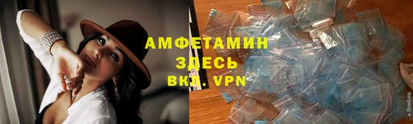 сатива Армянск