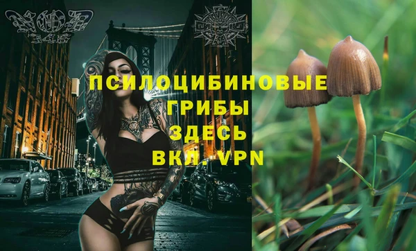 гашишное масло Аркадак