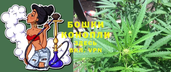 PSILOCYBIN Арсеньев
