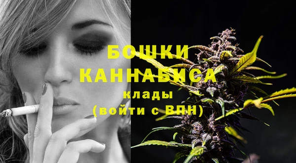 сатива Армянск