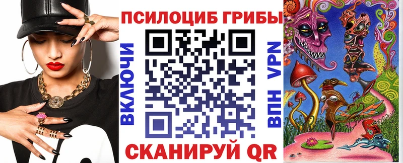 Псилоцибиновые грибы Psilocybine cubensis  блэк спрут как зайти  Североуральск 